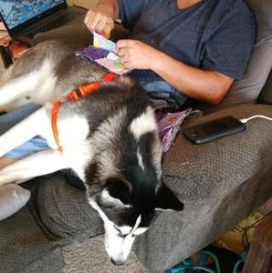 Meet your Posher, Gene